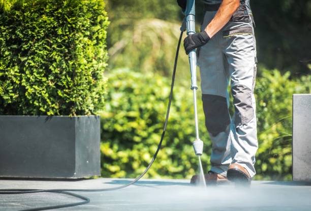Best Animal Enclosure Cleaning  in Gholson, TX