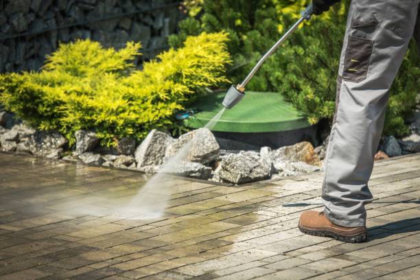 Best Pre-Holiday Cleaning  in Gholson, TX